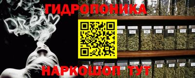 винт Можга