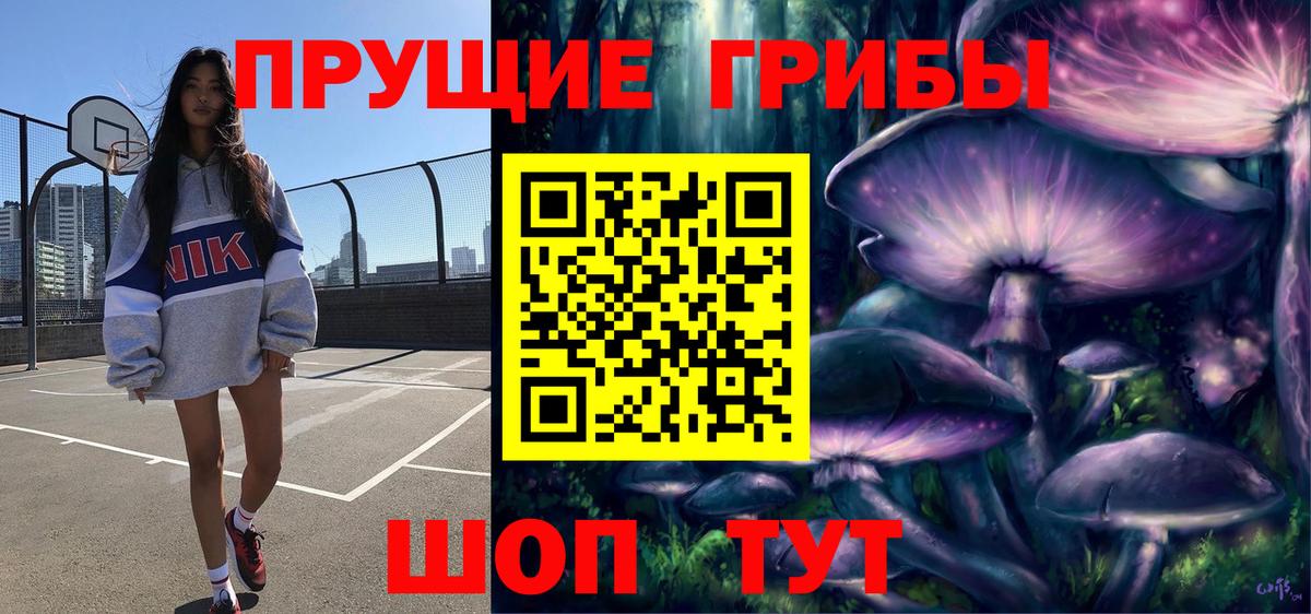 Галлюциногенные грибы GOLDEN TEACHER  купить наркотик  Галлюциногенные грибы Cubensis  Электросталь  Вход с VPN 